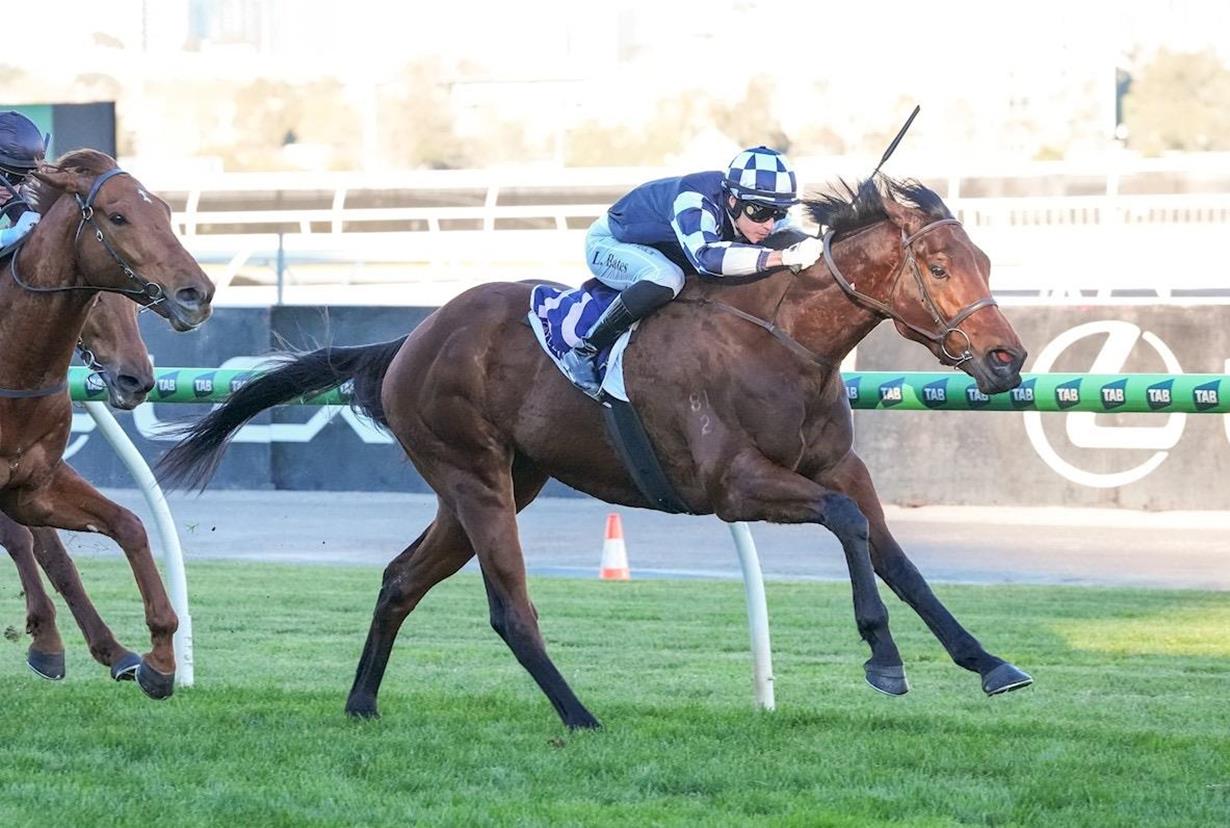 O'BRIEN LOOKS TO HANDICAPPER AFTER SASS SALUTES